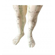 Boneco Anatômico 50cm Com Pontos De Acupuntura