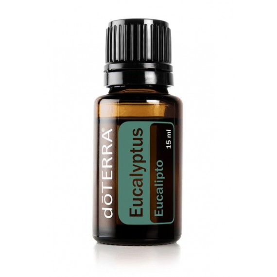 Eucalipto  Eucalyptus Radiata 15ml - doTERRA