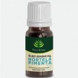 Óleo Essencial De Hortelã Pimenta - Puro Aroma Aromaterapia