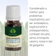 Kit Antialérgico: Eucalipto Glóbulos, Hortelã Pimenta e Melaleuca - Puro Aroma 