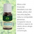 Kit Antialérgico: Eucalipto Glóbulos, Hortelã Pimenta e Melaleuca - Puro Aroma 