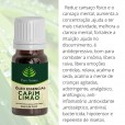 Óleo Essencial De Capim Limão – Puro Aroma Aromaterapia