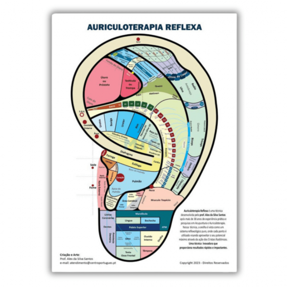 Mapa Auriculoterapia Reflexa 