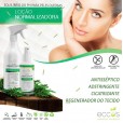 Loção Nano Normalizadora Antisséptica e Adstringente 120ml - Eccos