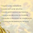 Óleo Girassol Vegano Ozonizado 100% Puro Facial e Corporal 30ml - Eccos 