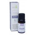 Óleo Essencial Patchouli 10ml - Eccos