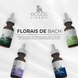 Floral Noturno Reparação Do Sono E Insônia - Eccos