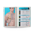 Atlas De Pontos Por Região - Todos Os Pontos Da Cabeça Aos Pés