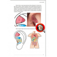 Combo Livro e Mapa Auriculoterapia Reflexa + 3 Cristais Radiônicos Raul Breves