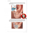 Combo Livro e Mapa Auriculoterapia Reflexa + 3 Cristais Radiônicos Raul Breves