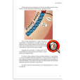 Combo Livro e Mapa Auriculoterapia Reflexa + 3 Cristais Radiônicos Raul Breves