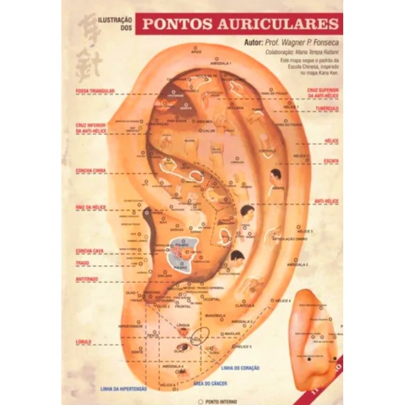 Mapa Auriculoterapia Chinesa Plastificado - Prof Wagner P. Da Fonseca