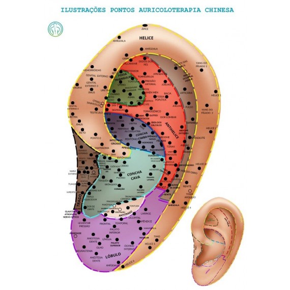 Mapa Pontos Auriculoterapia Chinesa Acupontos Auriculares Por Região