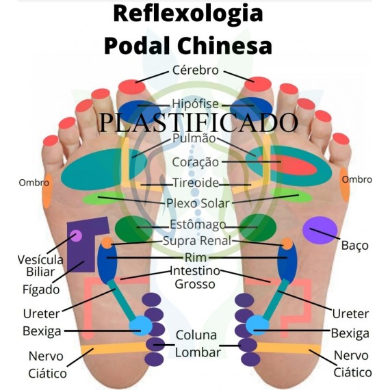 Mapa Reflexologia Podal Chinesa Plastificado - A4