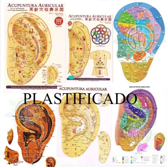 Kit 05 Mapas Acupuntura Auricular Plastificados