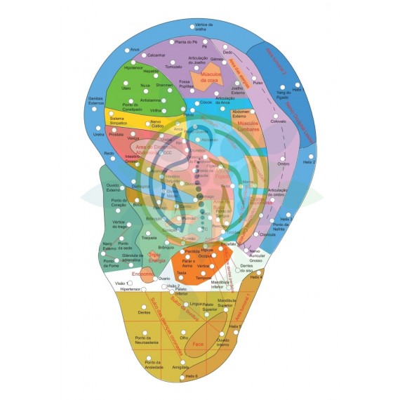 Mapa Auriculoterapia Chinesa Plastificado