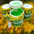 Gel Massageador Arnica Pura Extra Forte 200g - Rhenuks
