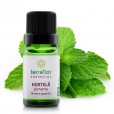 Óleo Essencial Hortelã Pimenta 10ml - Terra Flor