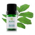 Óleo Essencial Pau Rosa Orgânico 5ml (RARO) - Terra Flor