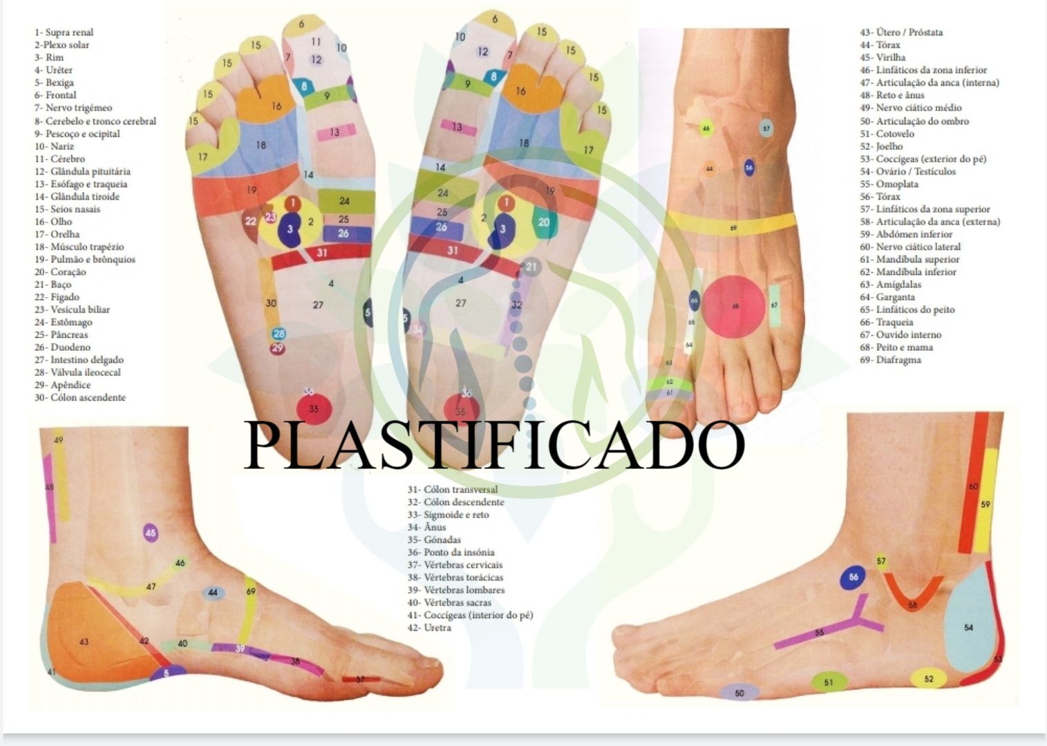 Mapa Reflexologia Podal Oriental 69 Pontos Em 5 Ângulos A3 Plastificado